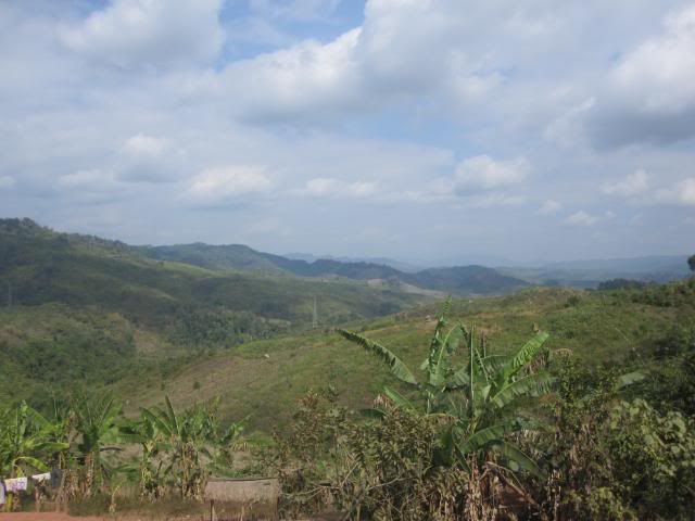 IMG_0803.jpg