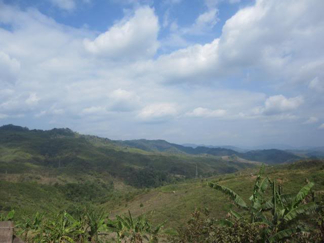 IMG_0805.jpg