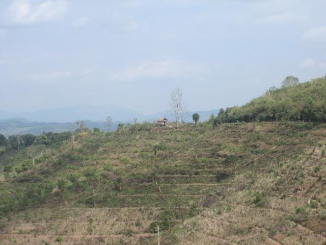 IMG_0806.jpg