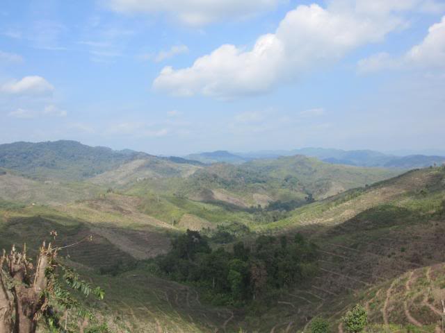 IMG_0807.jpg