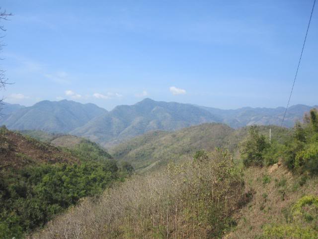 IMG_0837.jpg