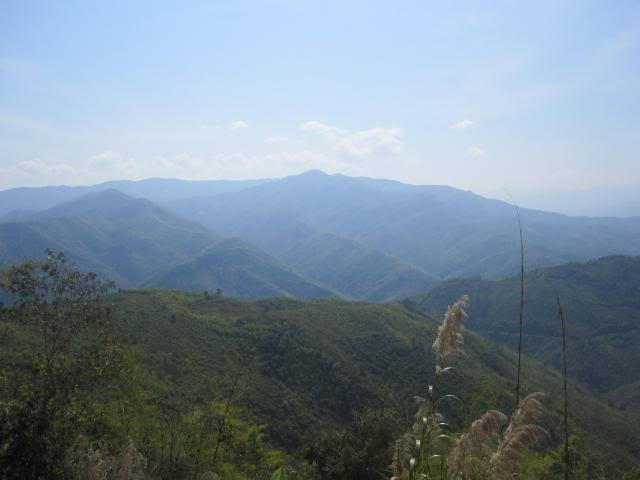 IMG_0843.jpg