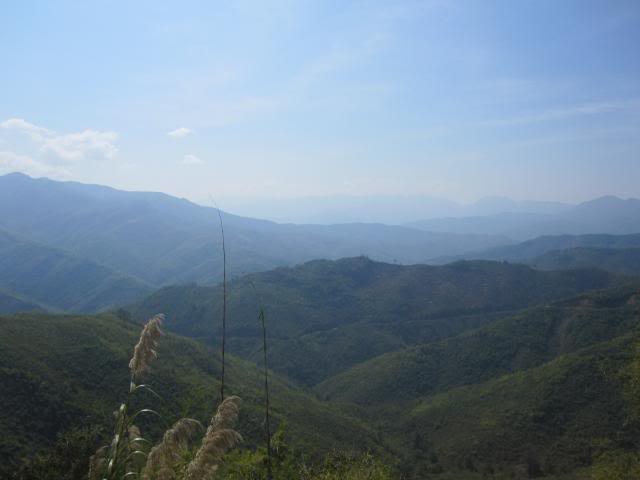 IMG_0844.jpg