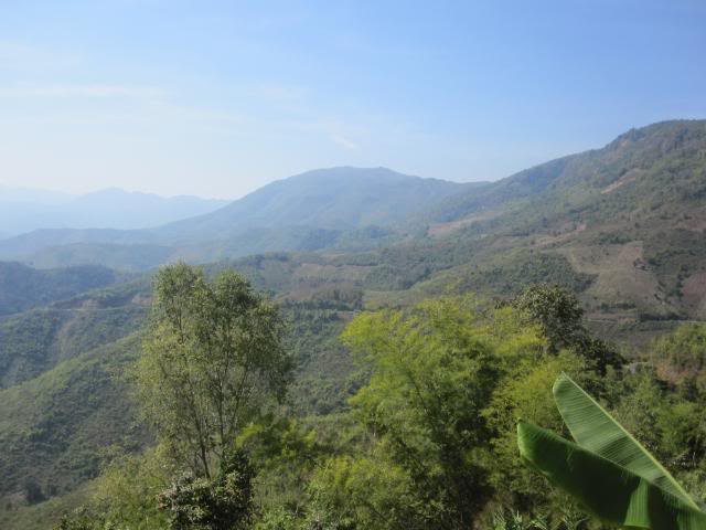 IMG_0845.jpg