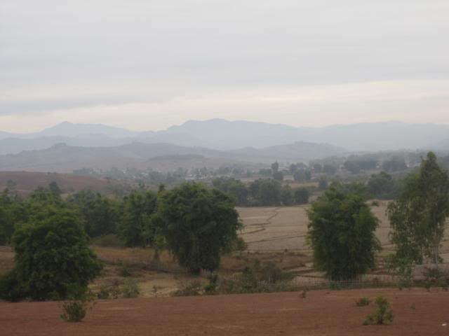 IMG_0884.jpg