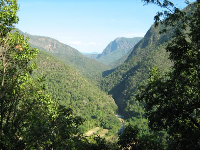 IMG_1253.jpg