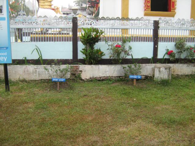 IMG_1259.jpg