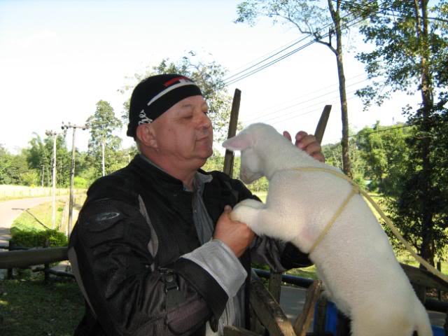 IMG_1279.jpg