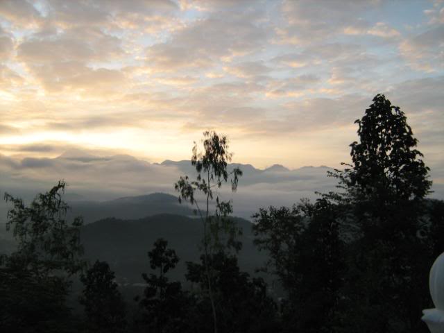 IMG_1282.jpg