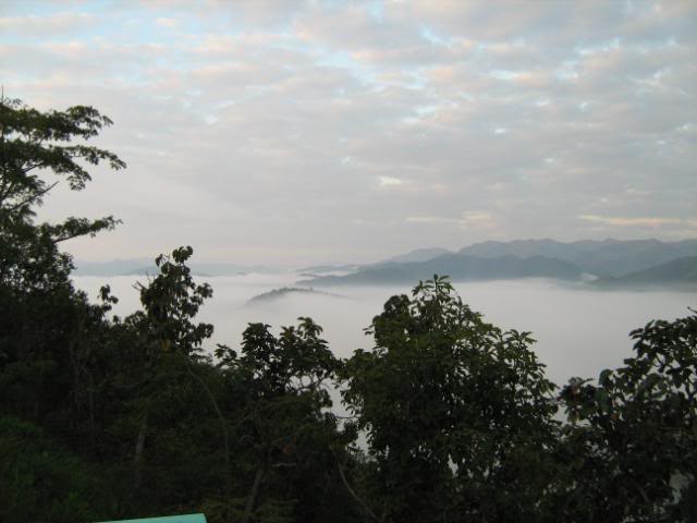 IMG_1288.jpg