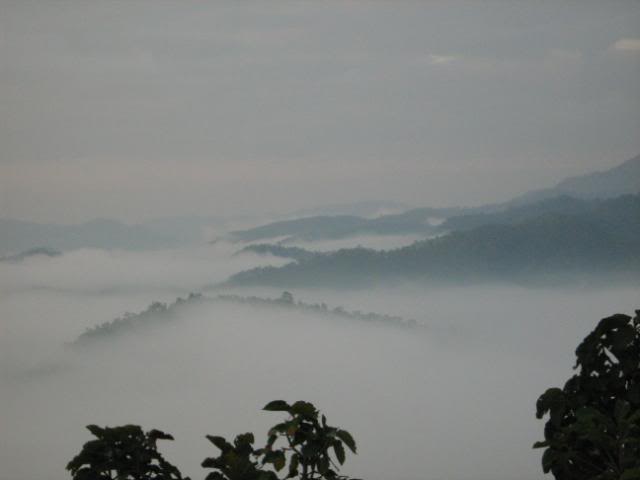 IMG_1290.jpg