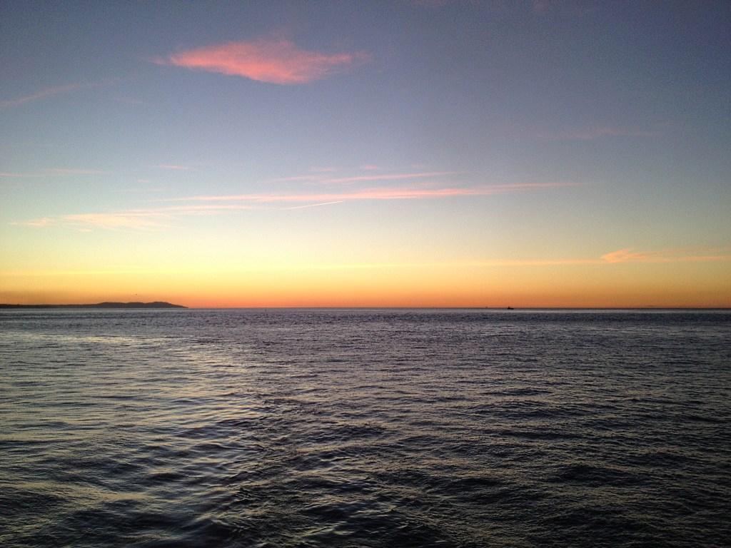 IMG_1313.jpg