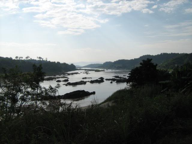 IMG_1341.jpg