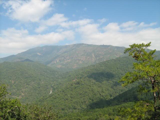 IMG_1343.jpg