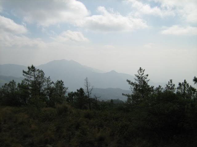 IMG_1350.jpg