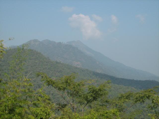 IMG_1356.jpg