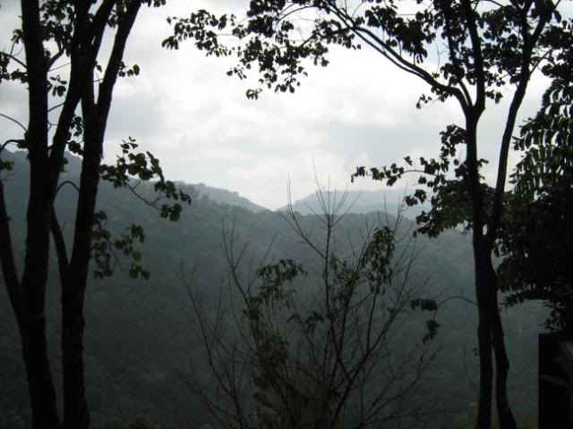 IMG_1362.jpg