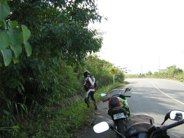 IMG_1365.jpg
