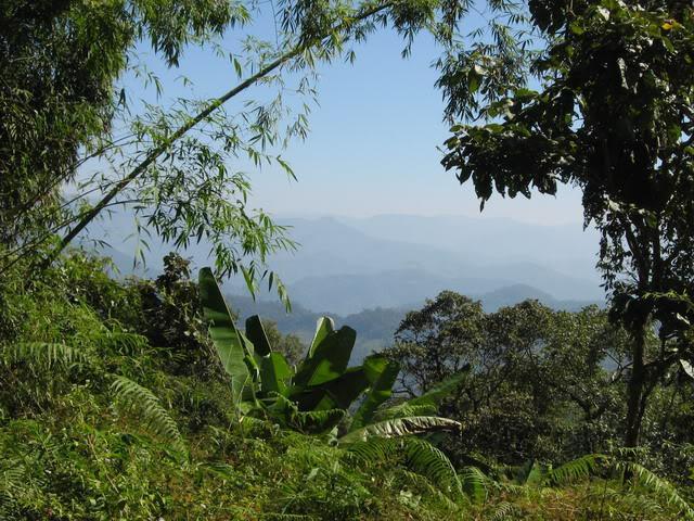 IMG_1473.jpg