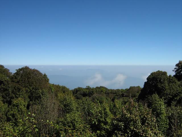 IMG_1534.jpg