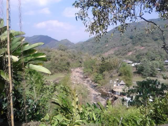 IMG_20120209_140344-1.jpg