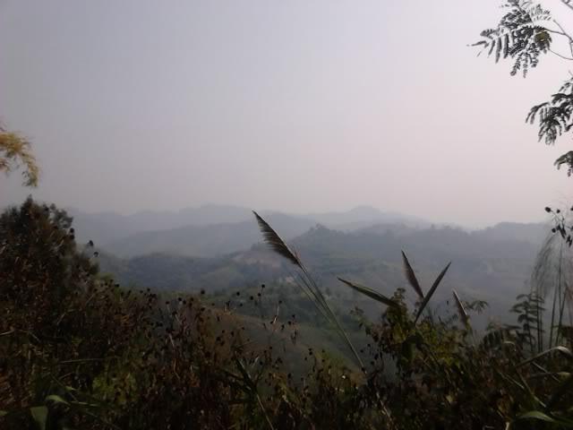 IMG_20120210_100644.jpg