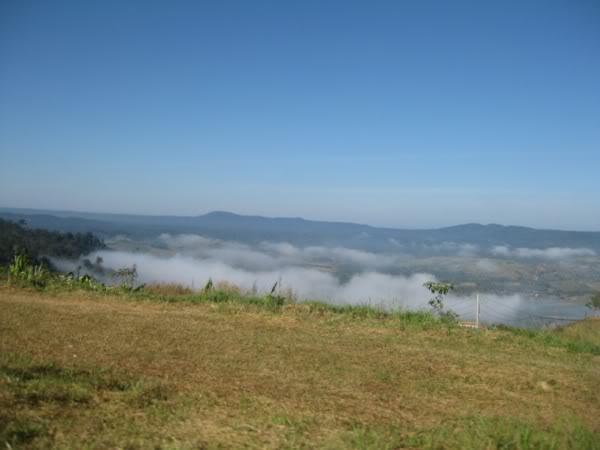 IMG_2841.jpg