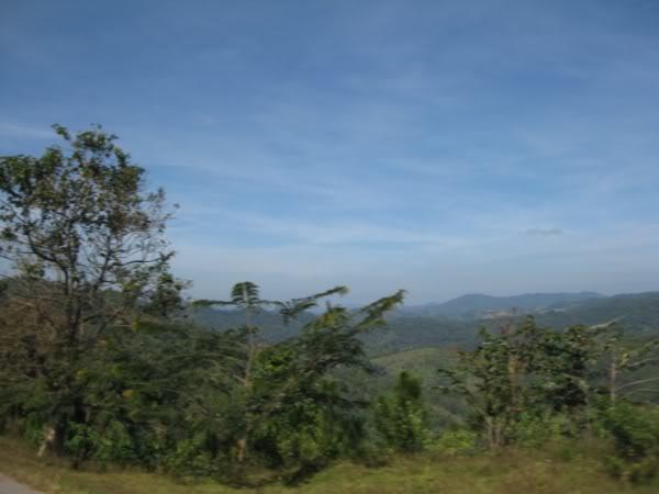IMG_3320.jpg