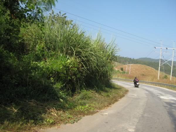 IMG_3940.jpg