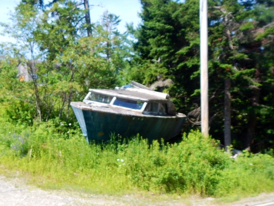img_3946.jpg