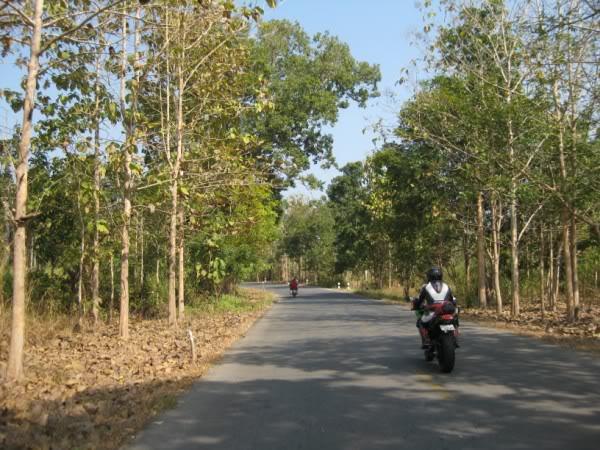 IMG_4262.jpg