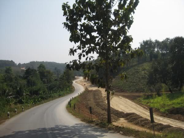 IMG_4284.jpg
