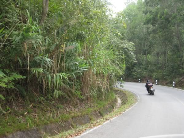 IMG_4650.jpg
