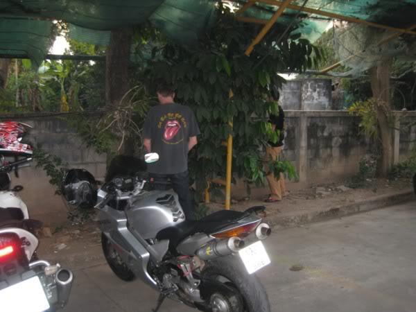 IMG_5326.jpg