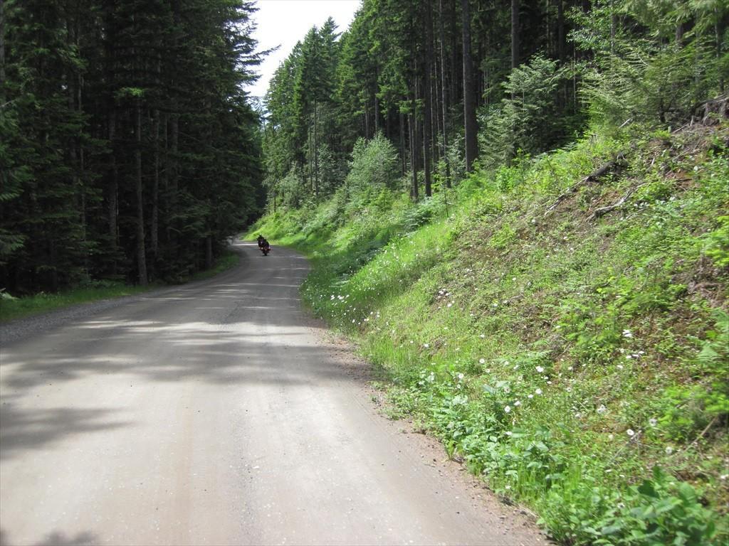 IMG_5881.jpg