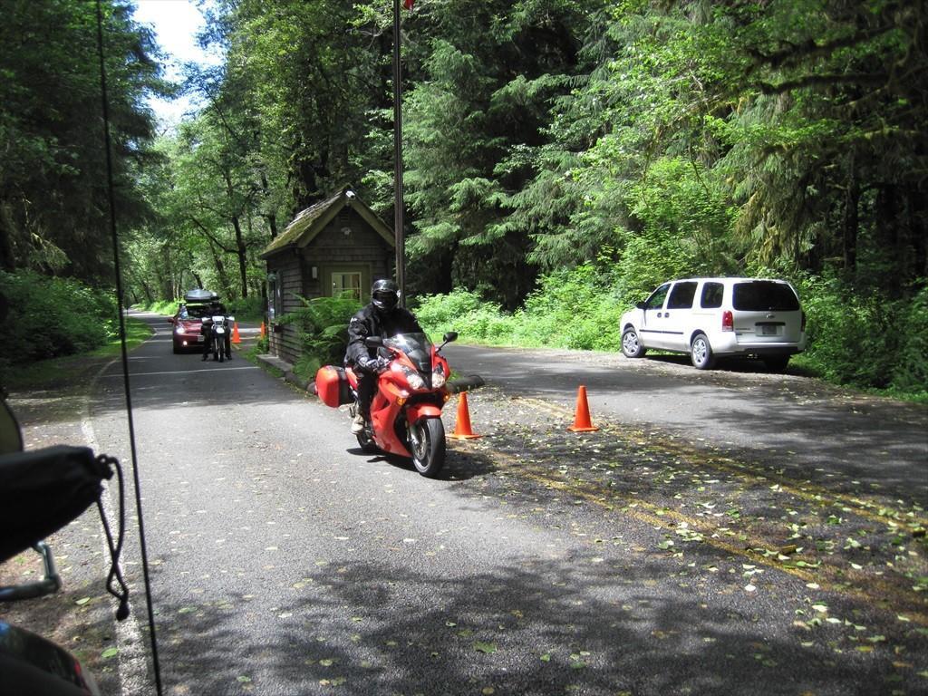 IMG_5935.jpg