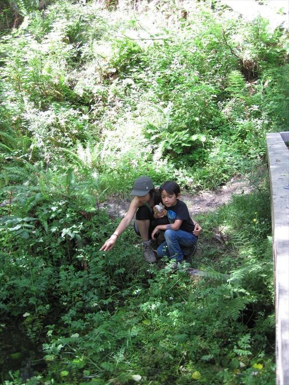 IMG_5949.jpg