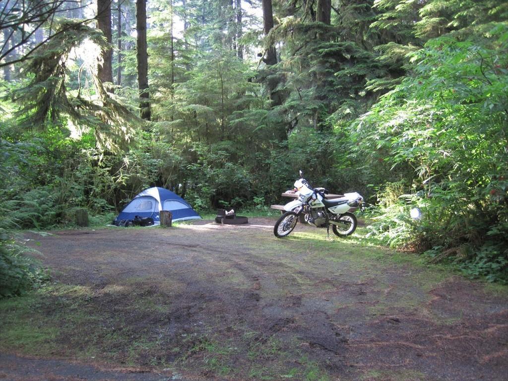 IMG_5951.jpg