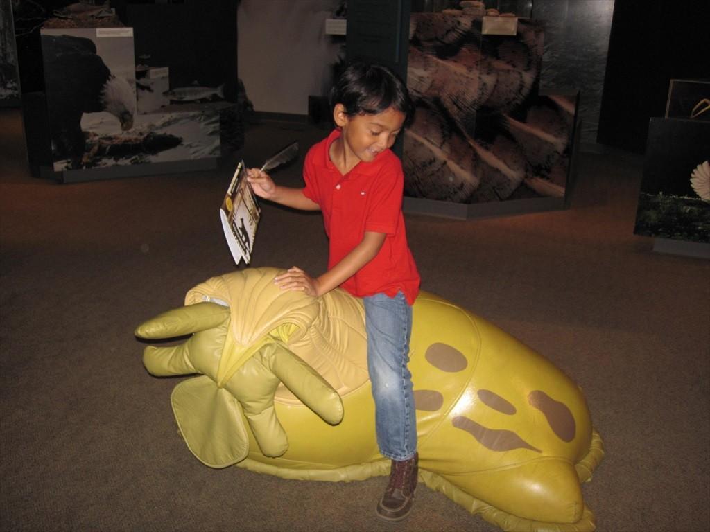 IMG_6089.jpg