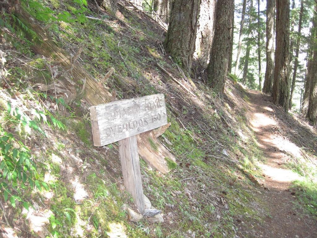 IMG_6119.jpg