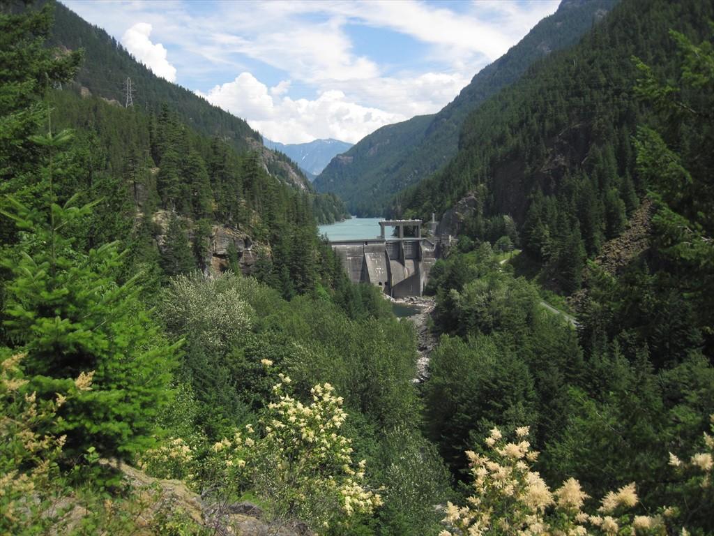 IMG_6155.jpg