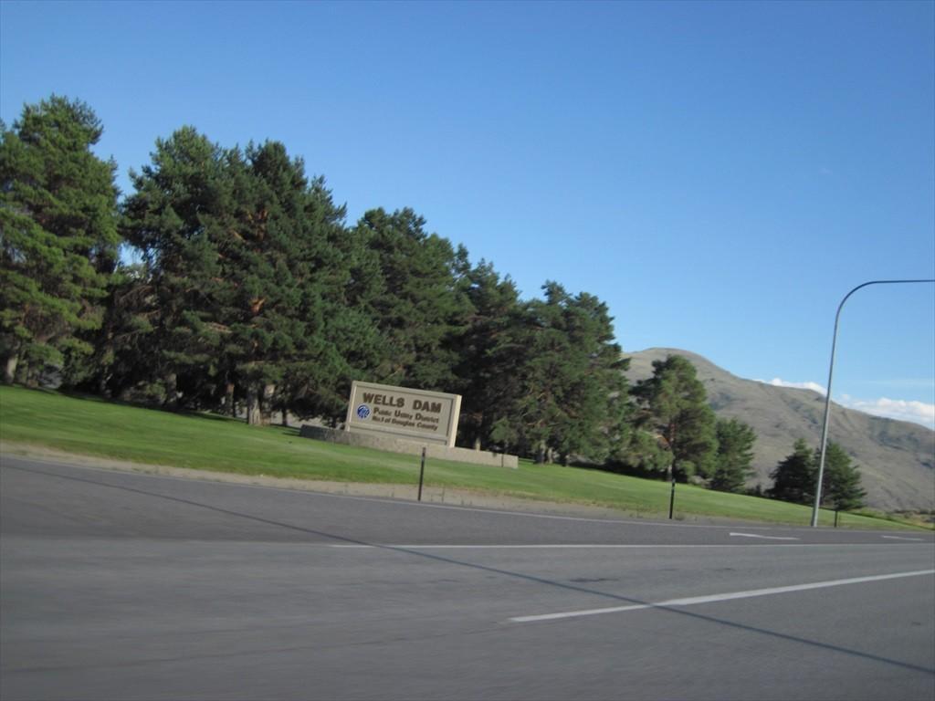 IMG_6205.jpg
