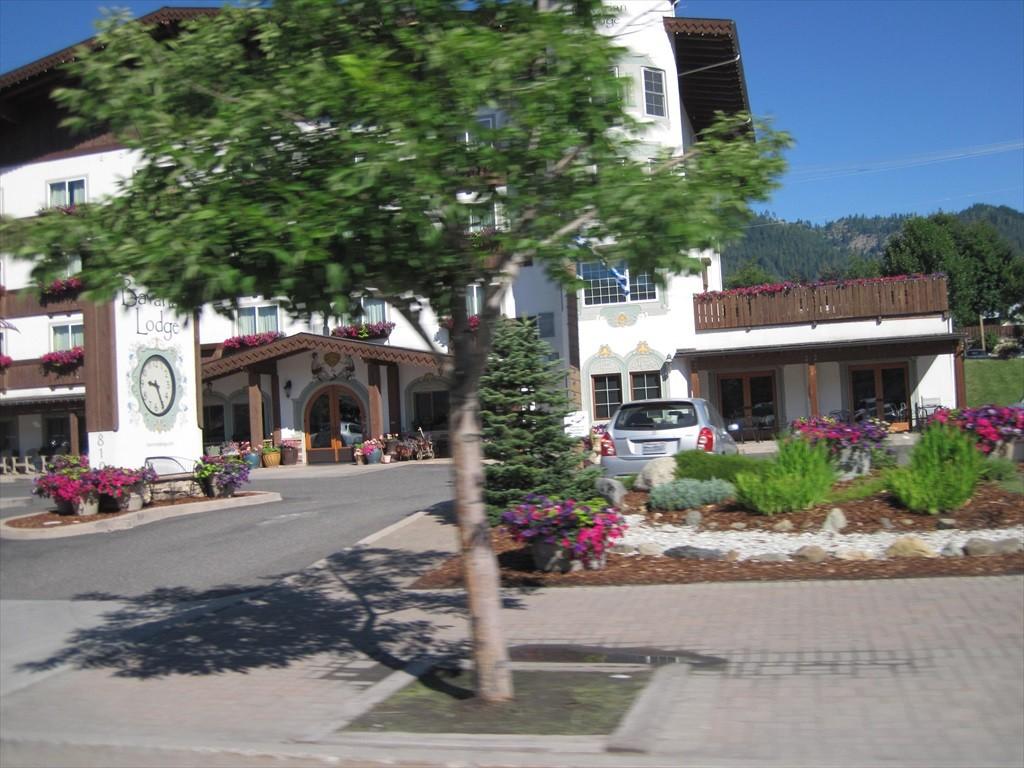 IMG_6213.jpg