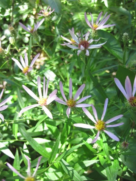 IMG_6240.jpg