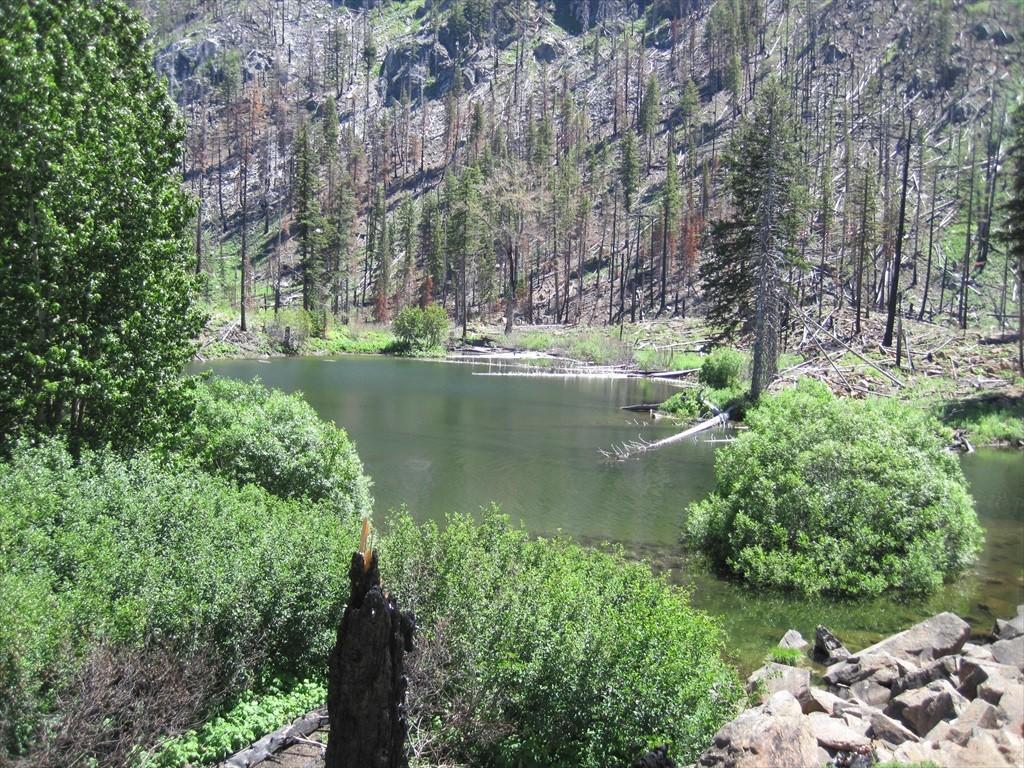 IMG_6264.jpg