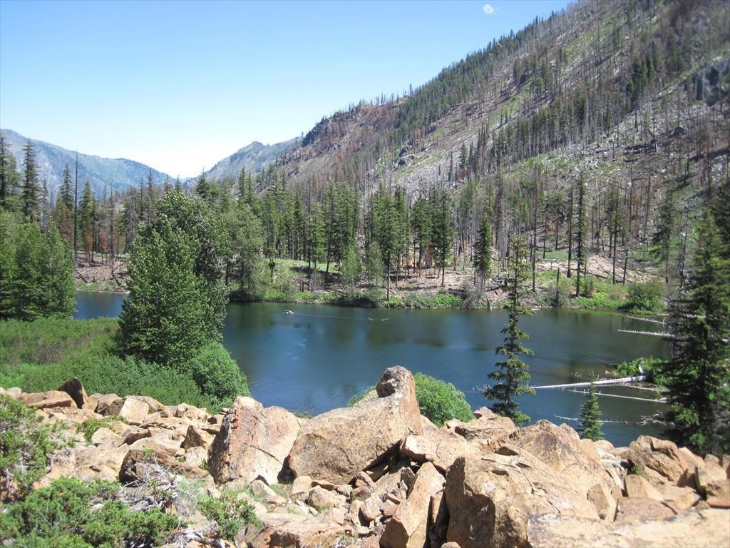 IMG_6265.jpg