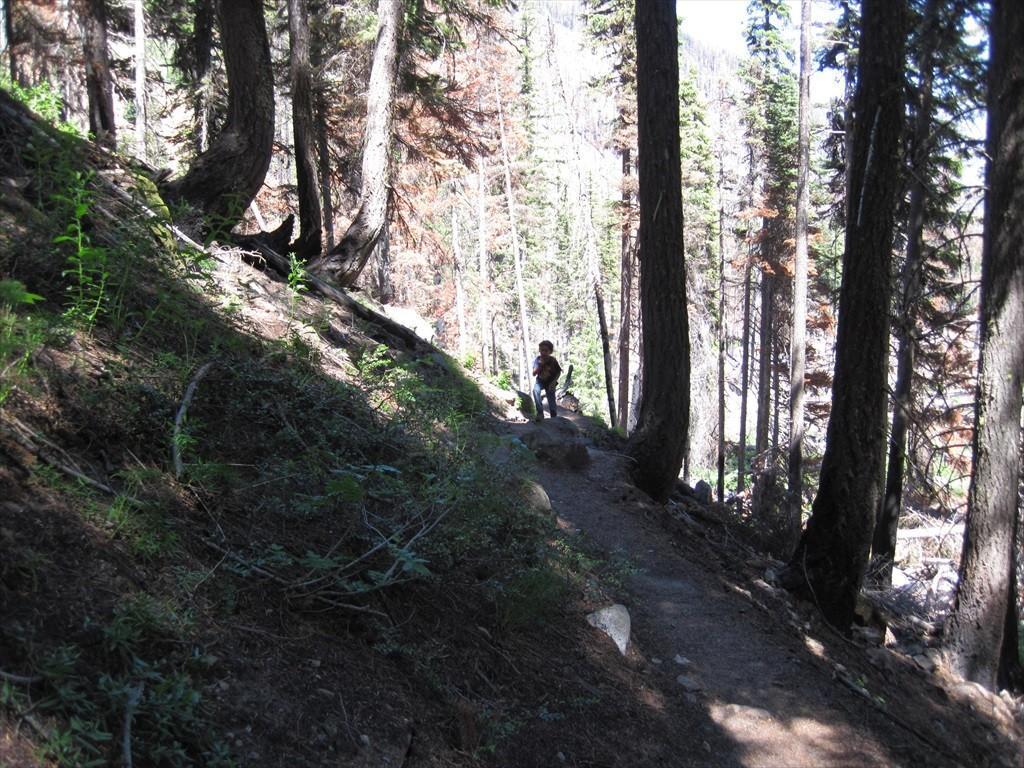 IMG_6271.jpg