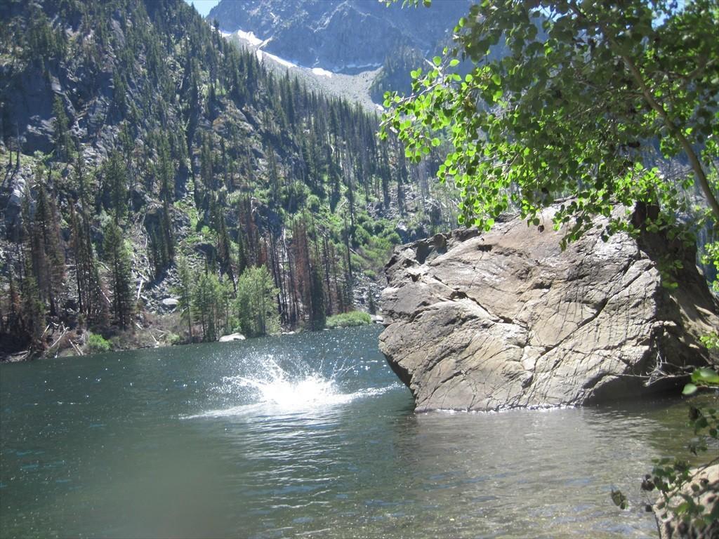 IMG_6275.jpg