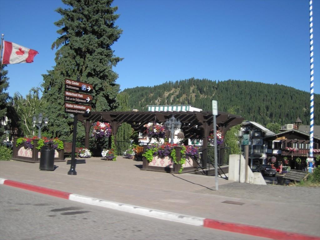 IMG_6303.jpg