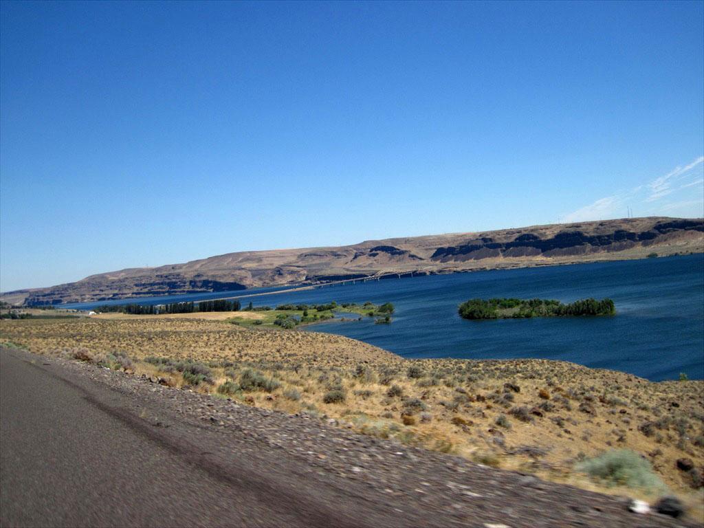 IMG_6334.jpg